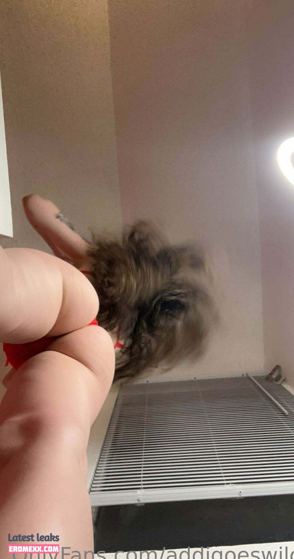 Latest Leaks addigoeswild Nude #32 - Erome