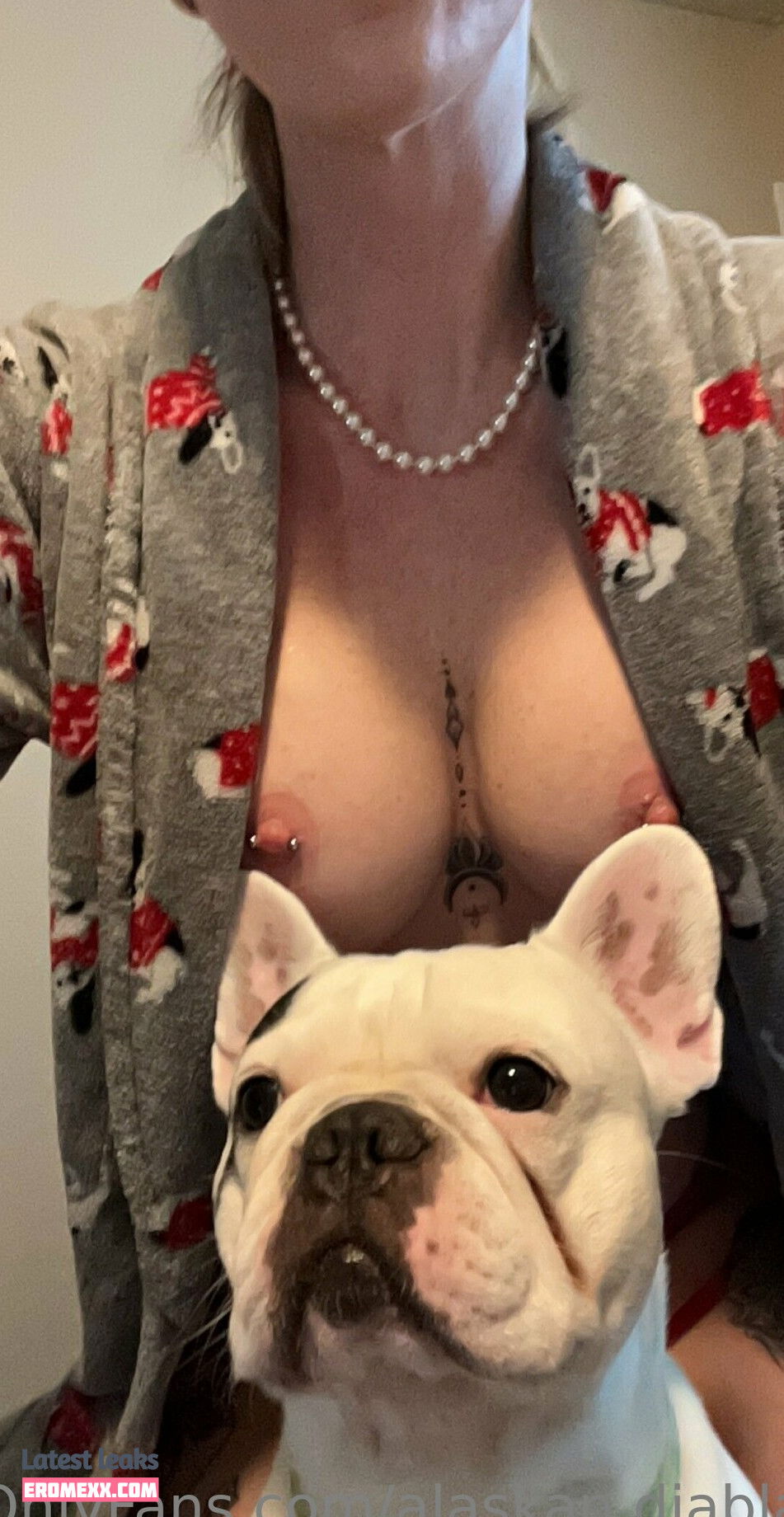 alaskan.diabla