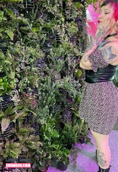 alexa_artt