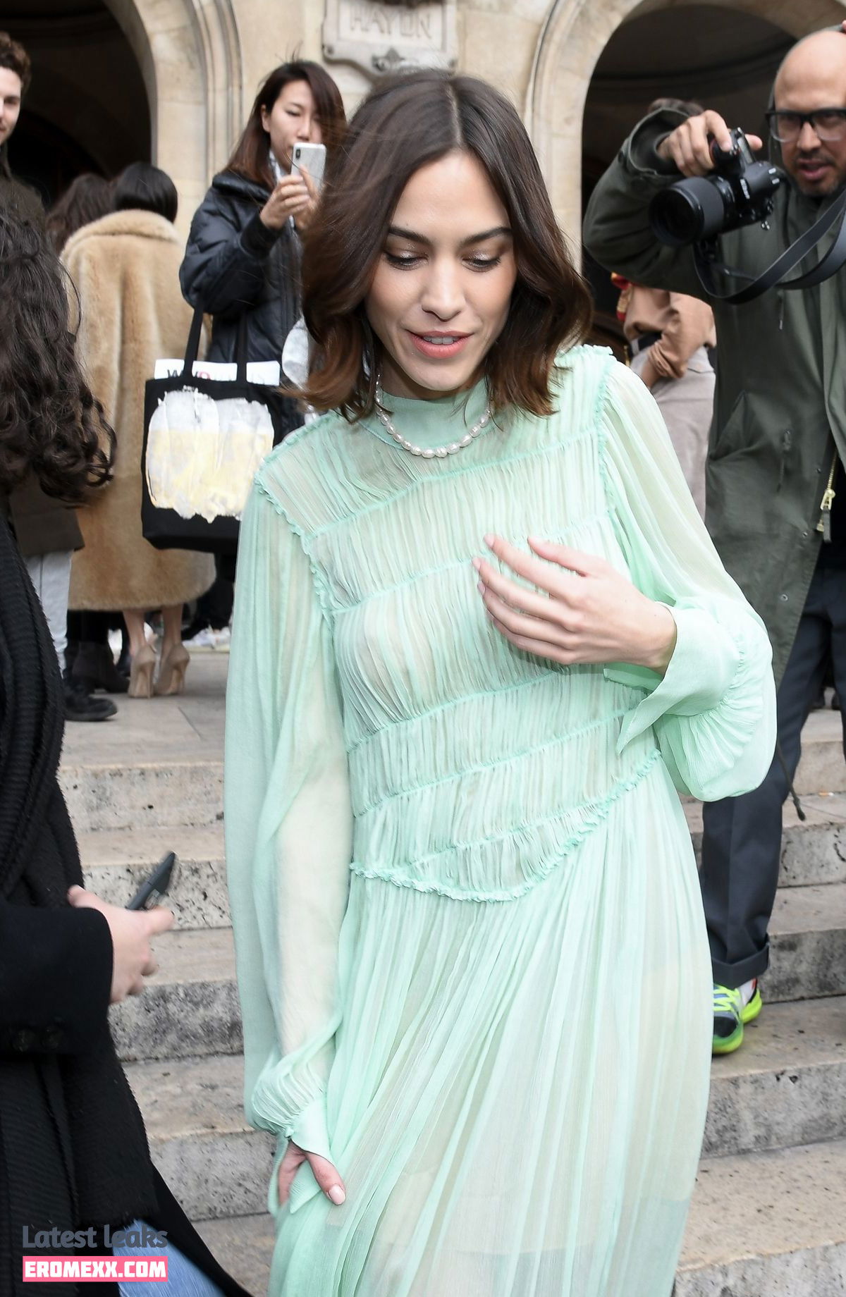 Latest Leaks Alexa Chung Nude #101 - Erome