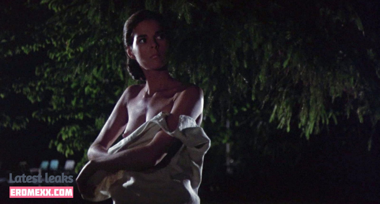 Latest Leaks Ali MacGraw Nude #15 - Erome