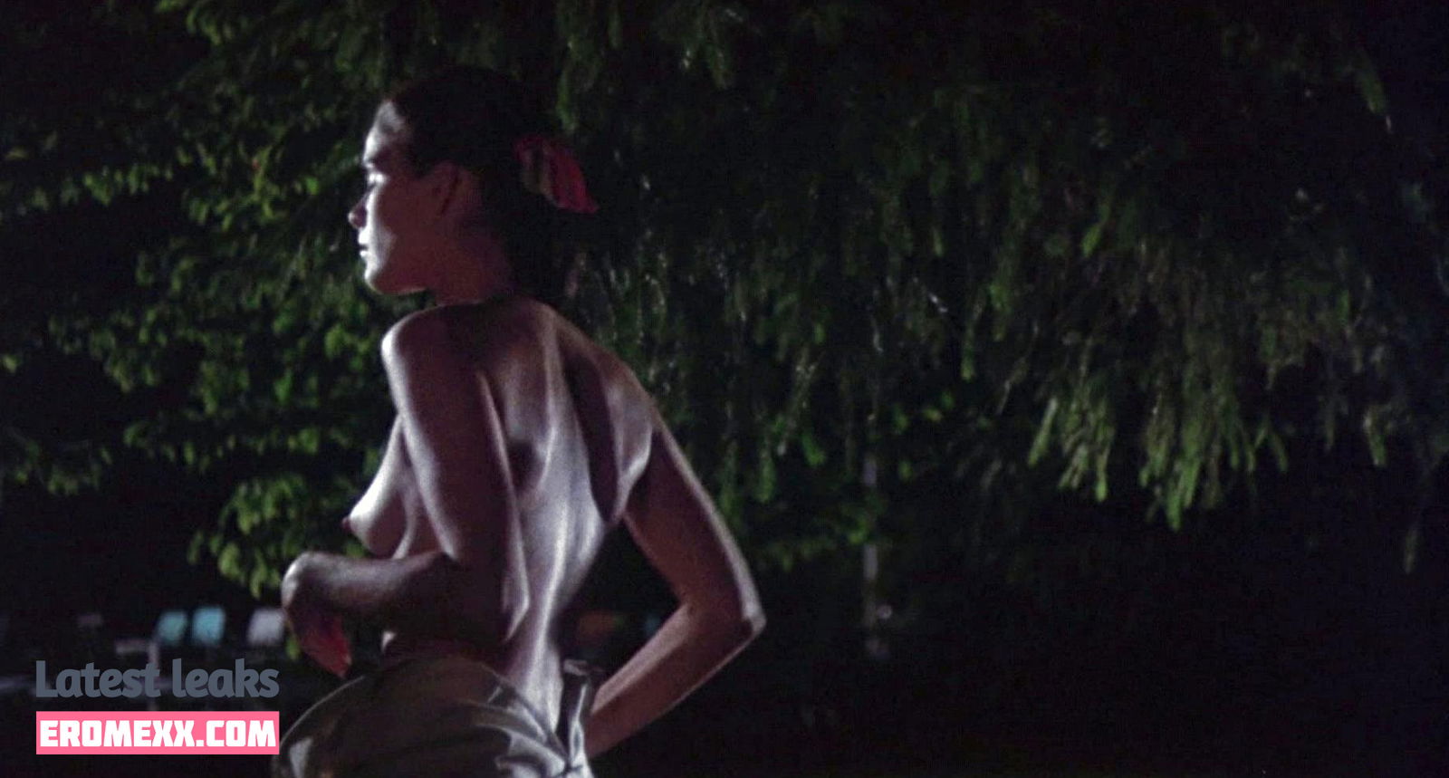 Latest Leaks Ali MacGraw Nude #21 - Erome