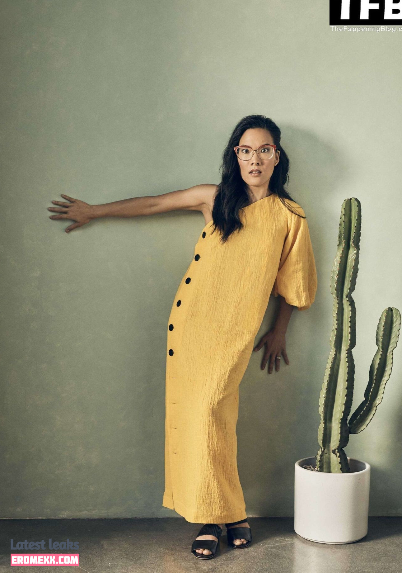 Latest Leaks Ali Wong Nude #12 - Fapello