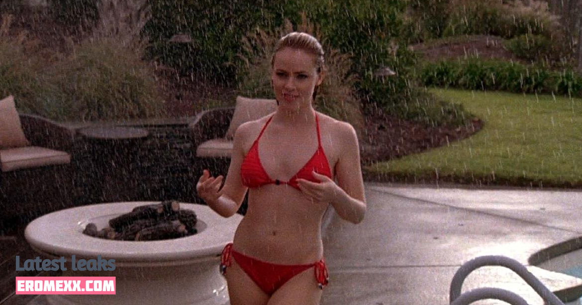 Latest Leaks Amanda Schull Nude #24 - Erome