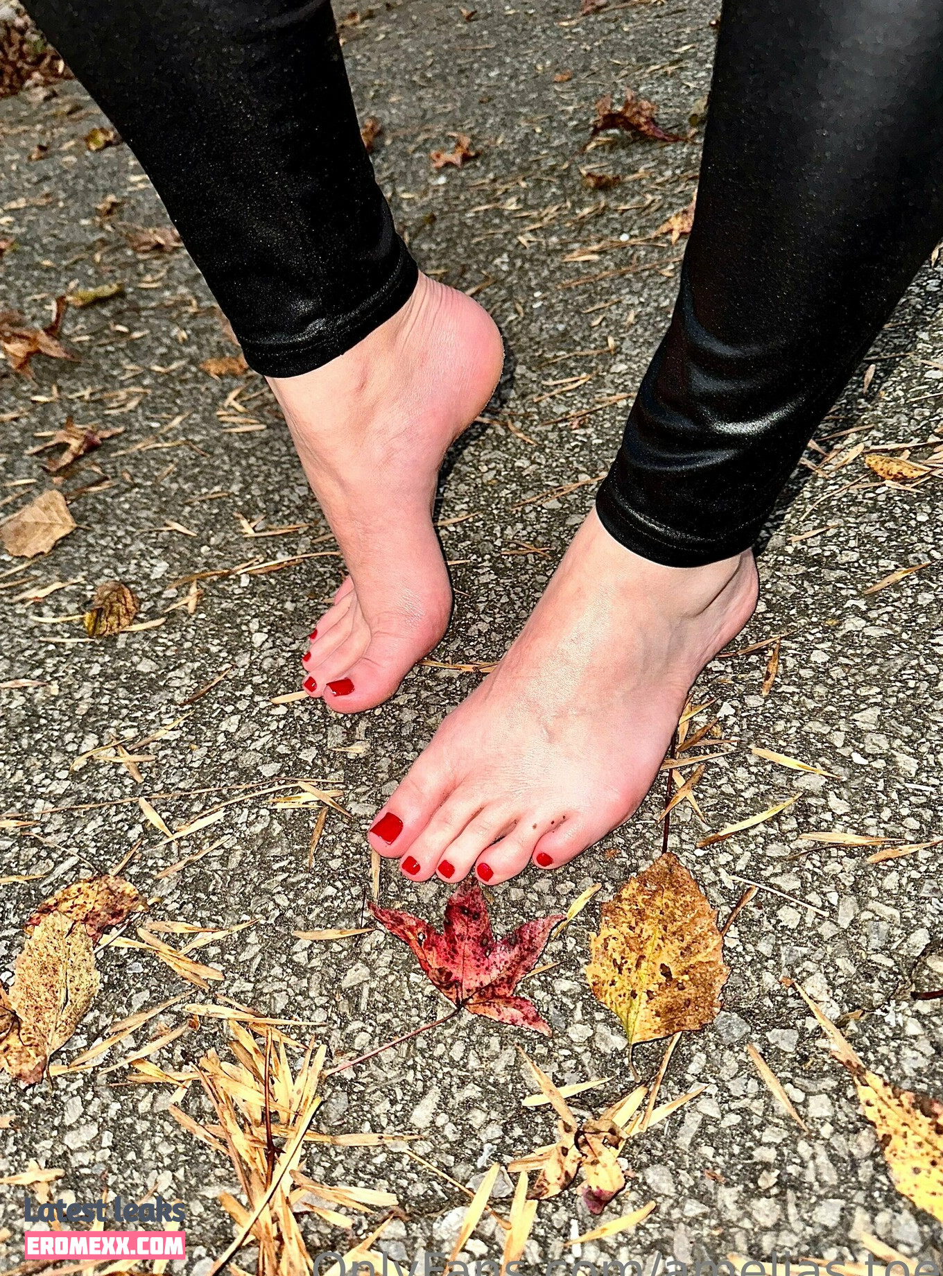 amelia_blake
