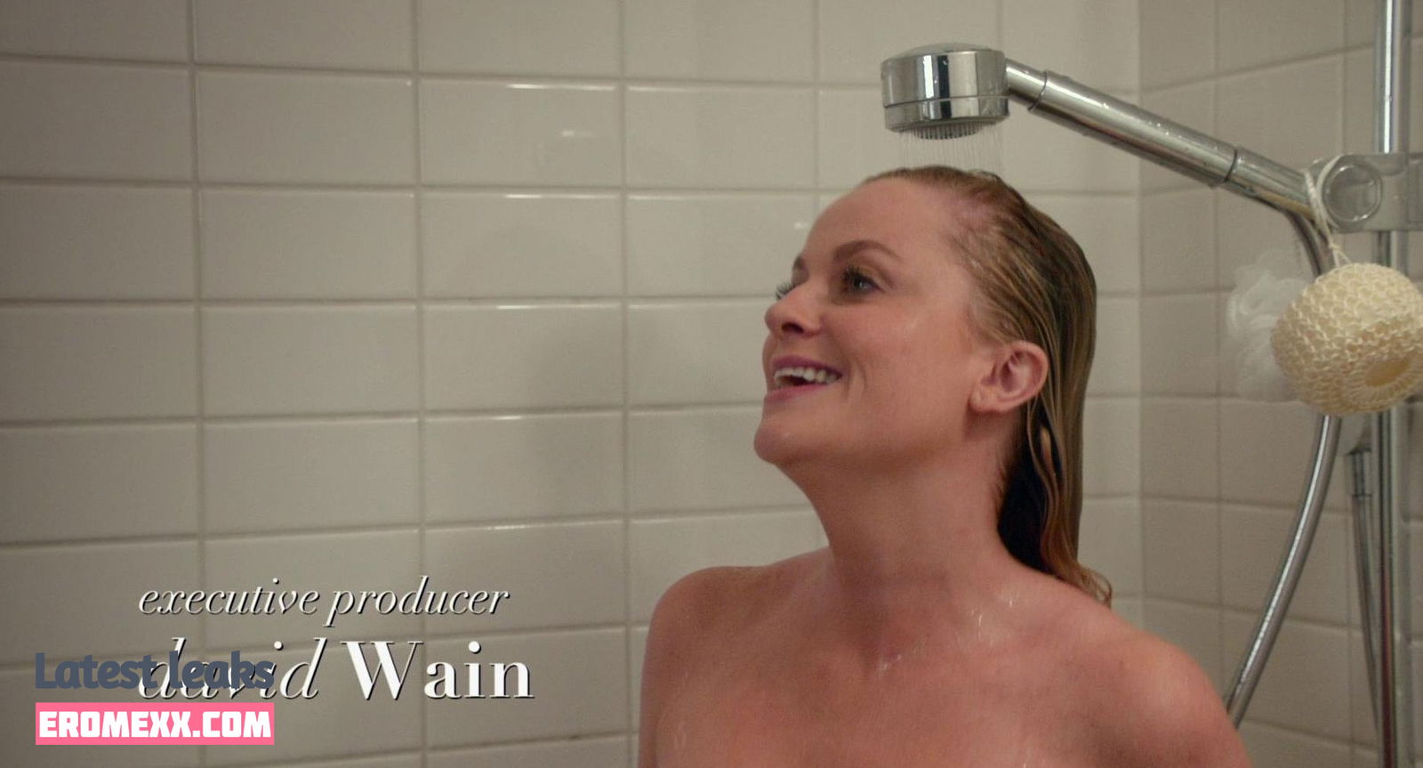 Latest Leaks Amy Poehler Nude #26 - Erome