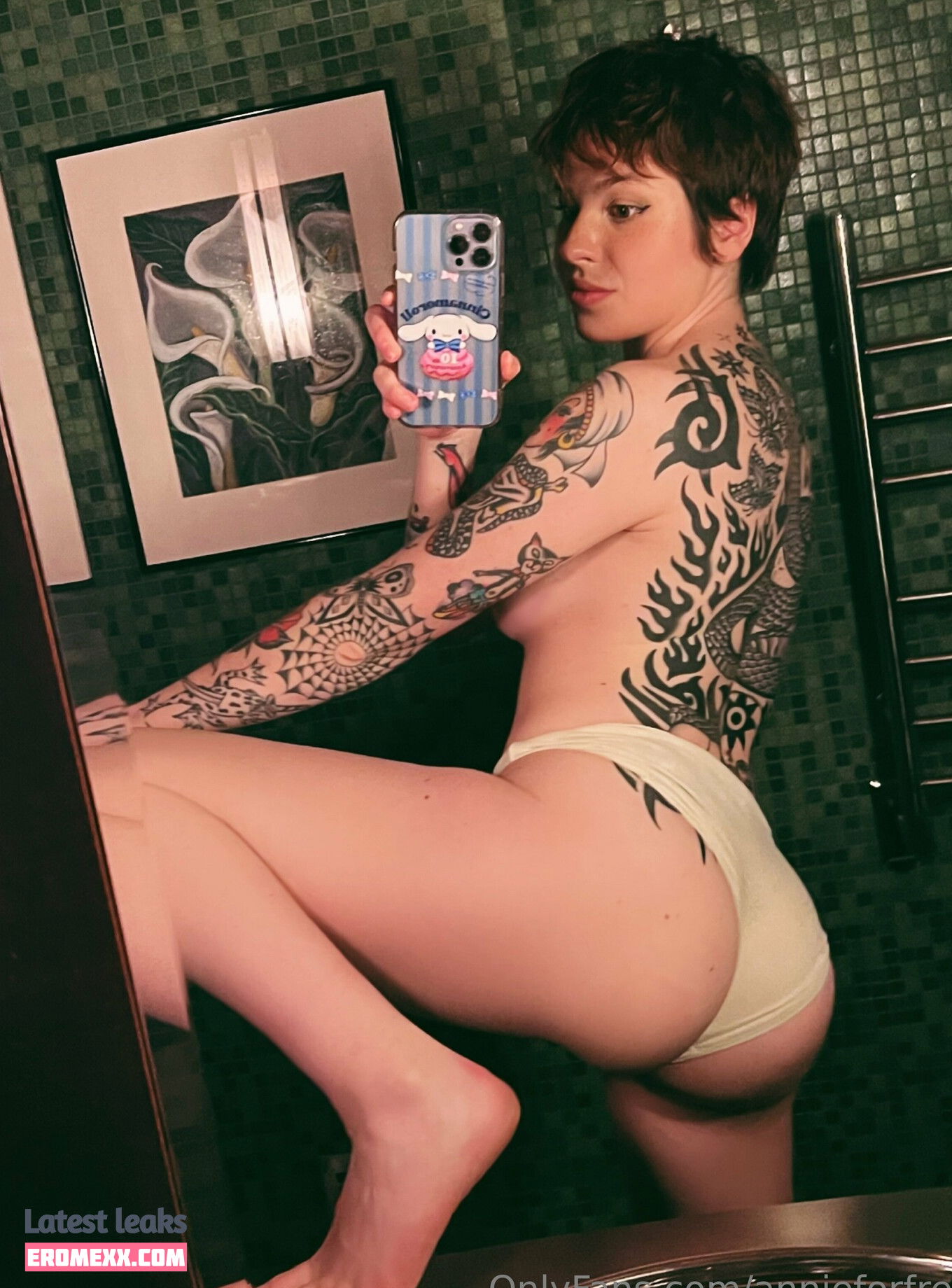 annieforfree
