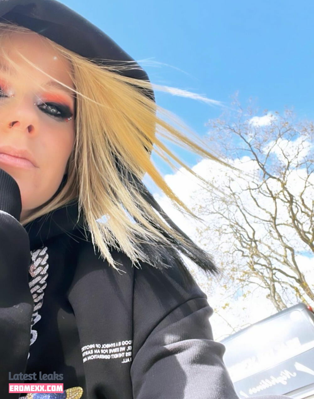 Latest Leaks Avril Lavigne Nude #1658 - Fapello