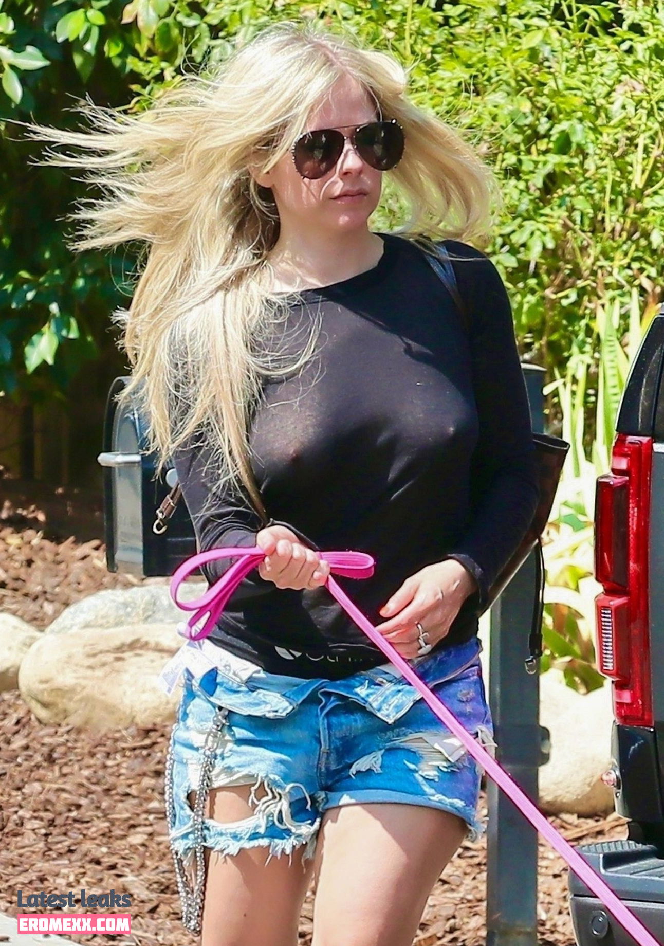 Latest Leaks Avril Lavigne Nude #756 - Fapello