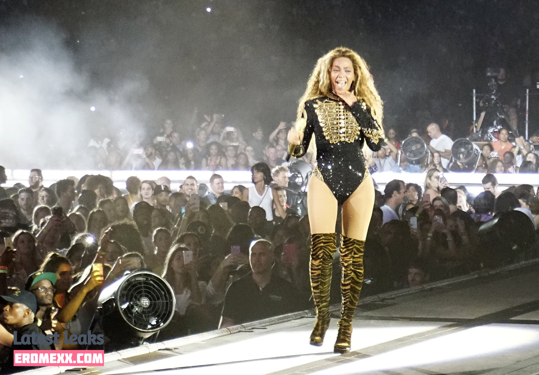 Latest Leaks Beyonce Nude #165 - Fapello