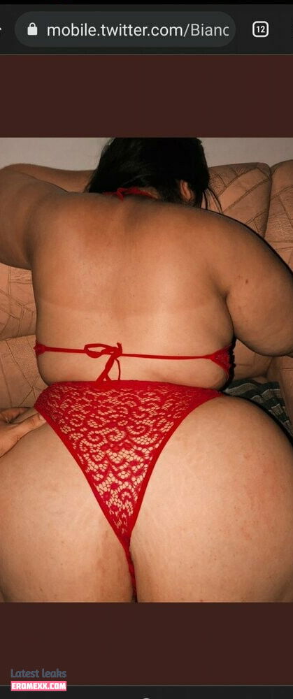 Latest Leaks Bianca Novaes Nude #90 - Erome