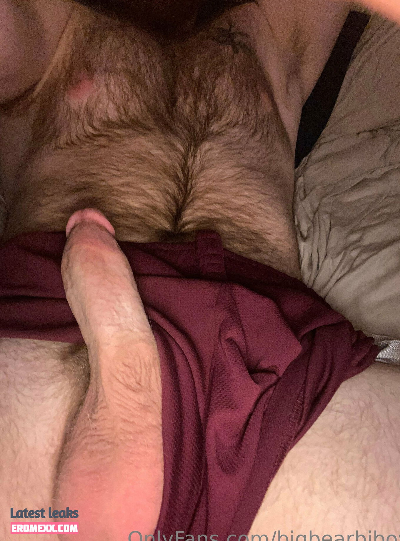 Latest Leaks bigbearbiboy Nude #26 - Erome