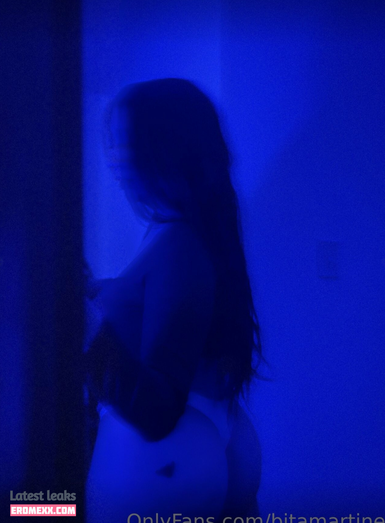 Latest Leaks bitamartinezz Nude #17 - Fapello