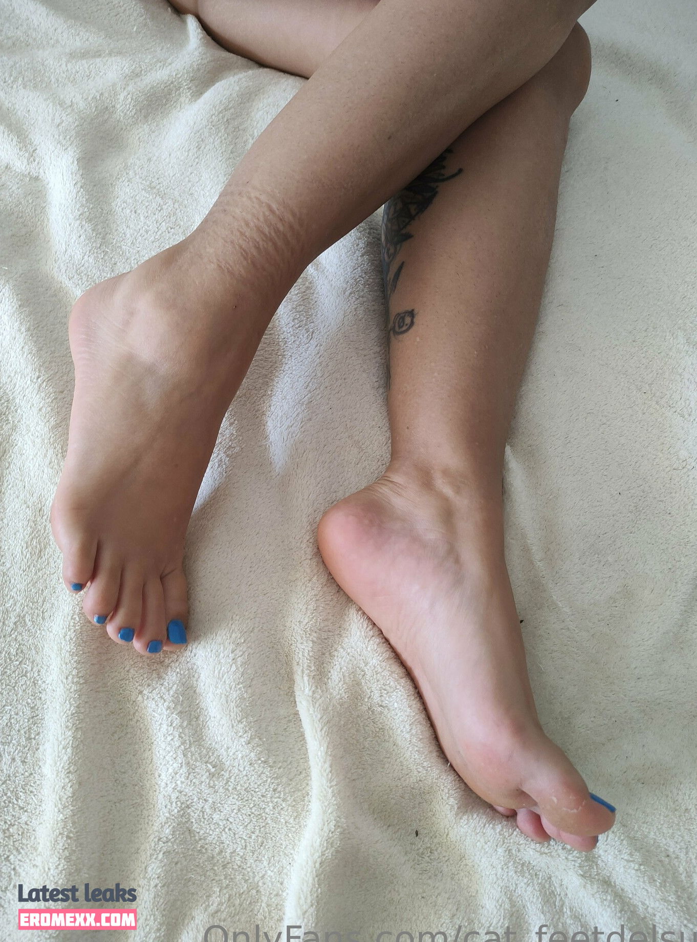 Latest Leaks cat_feetdelsur Nude #29 - Erome