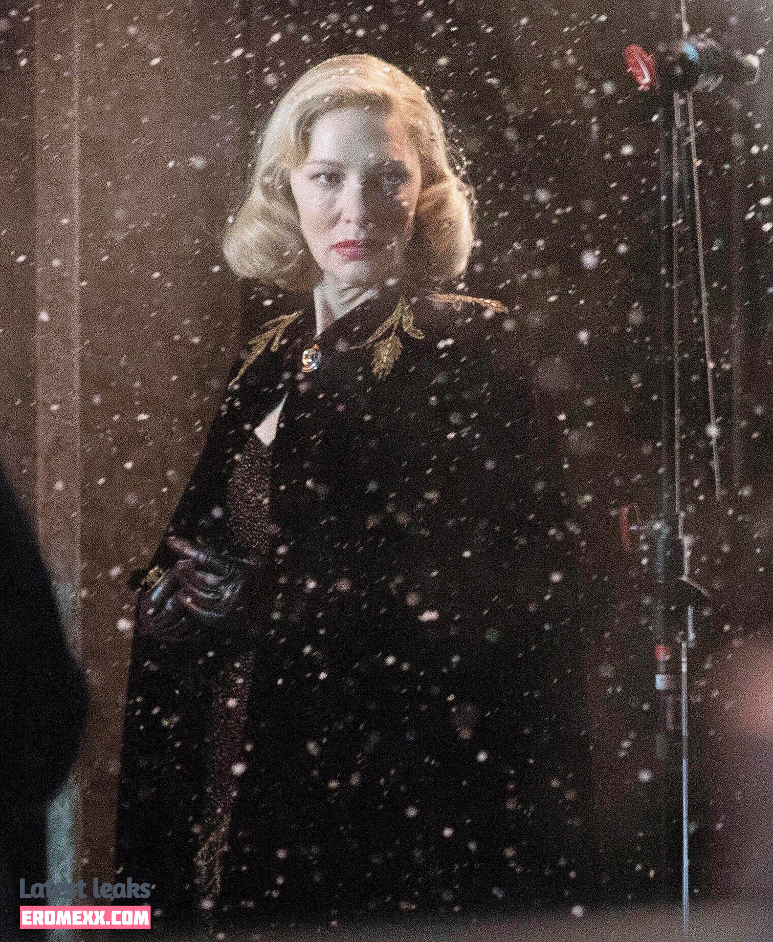 Latest Leaks Cate Blanchett Nude #156 - Fapello