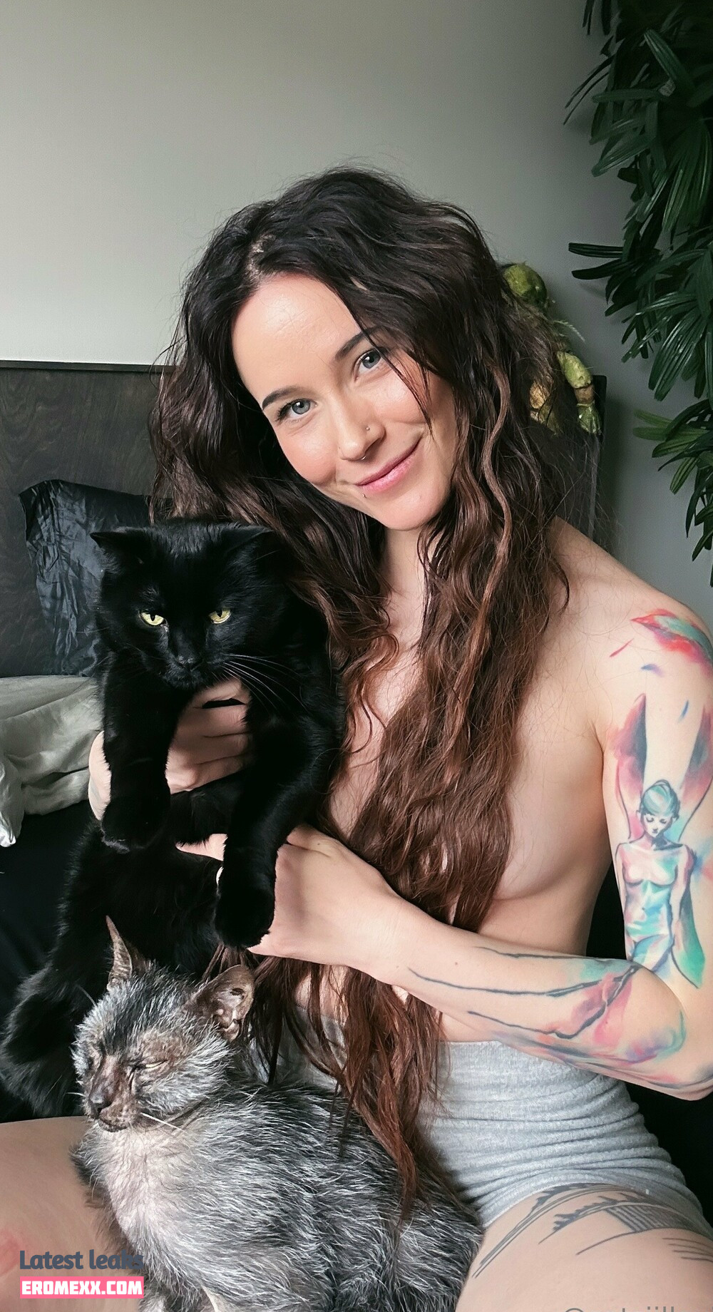 Latest Leaks Catzilla Nude #512 - Fapello