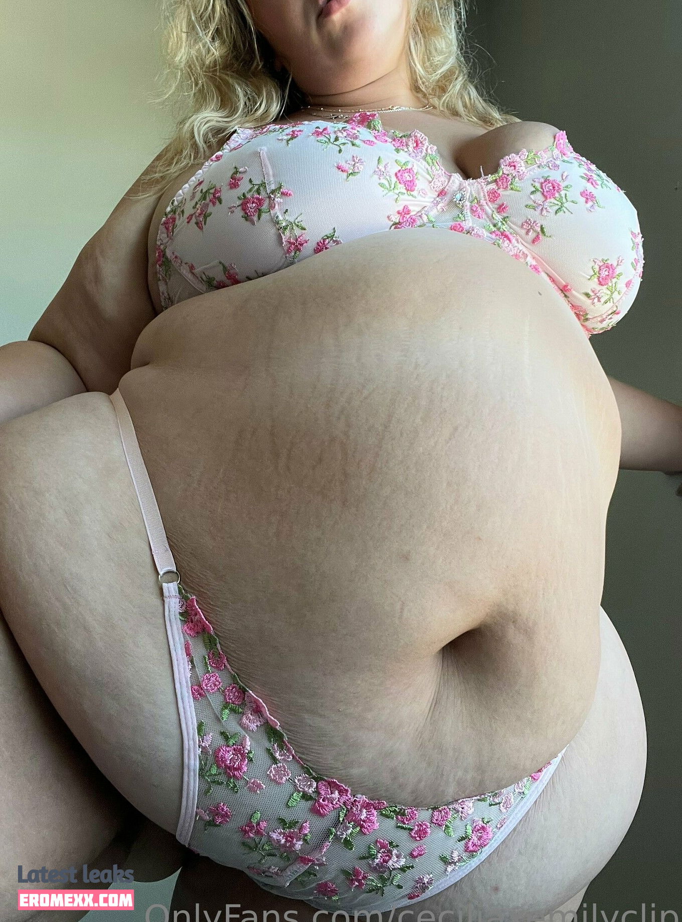 Latest Leaks ceciliabbwfeedee Nude #4 - Fapello