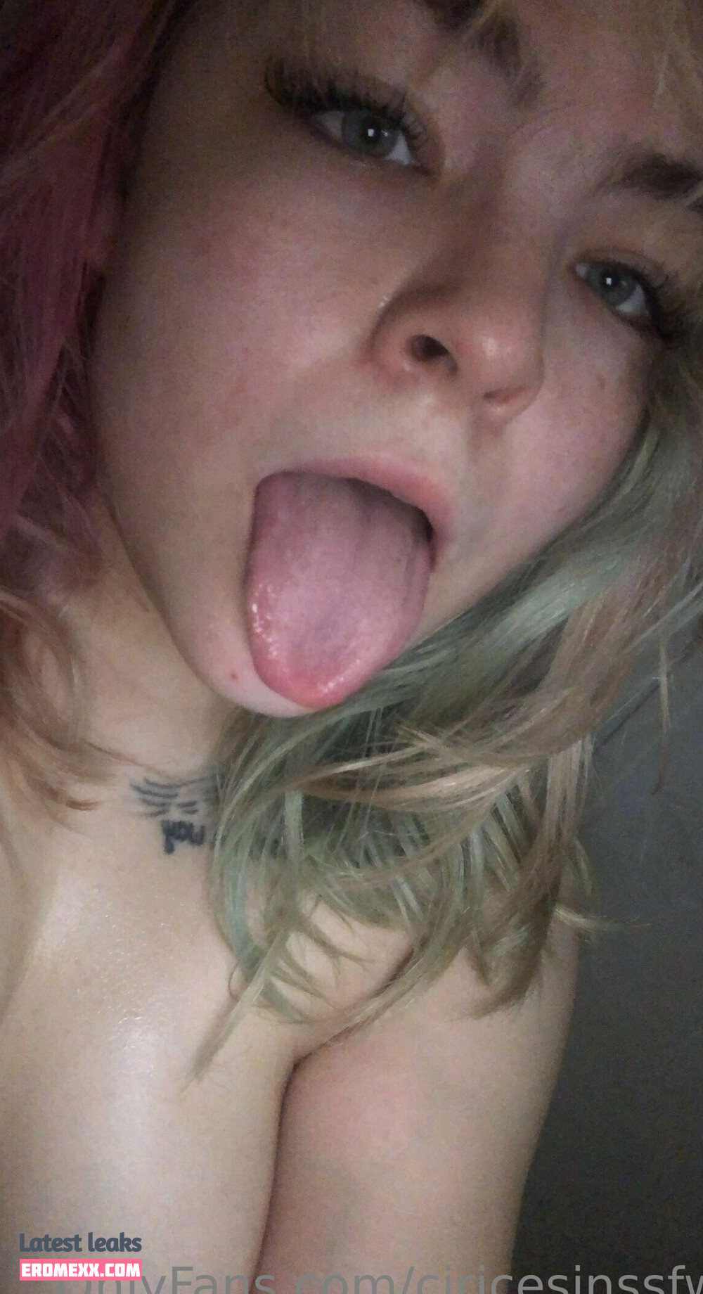 Latest Leaks ciricesinssfw Nude #103 - Fapello