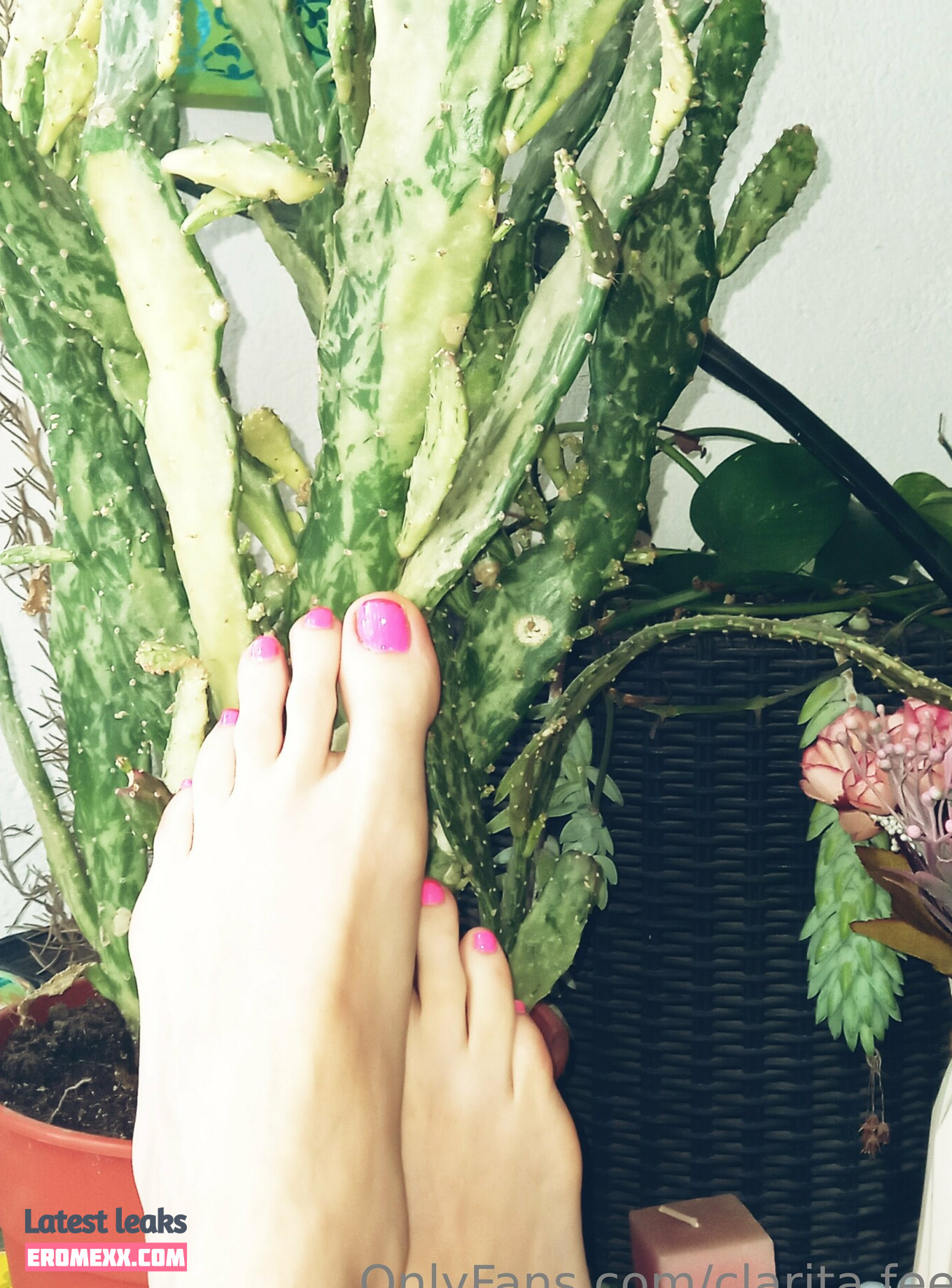 Latest Leaks clarita.feet Nude #20 - Fapello
