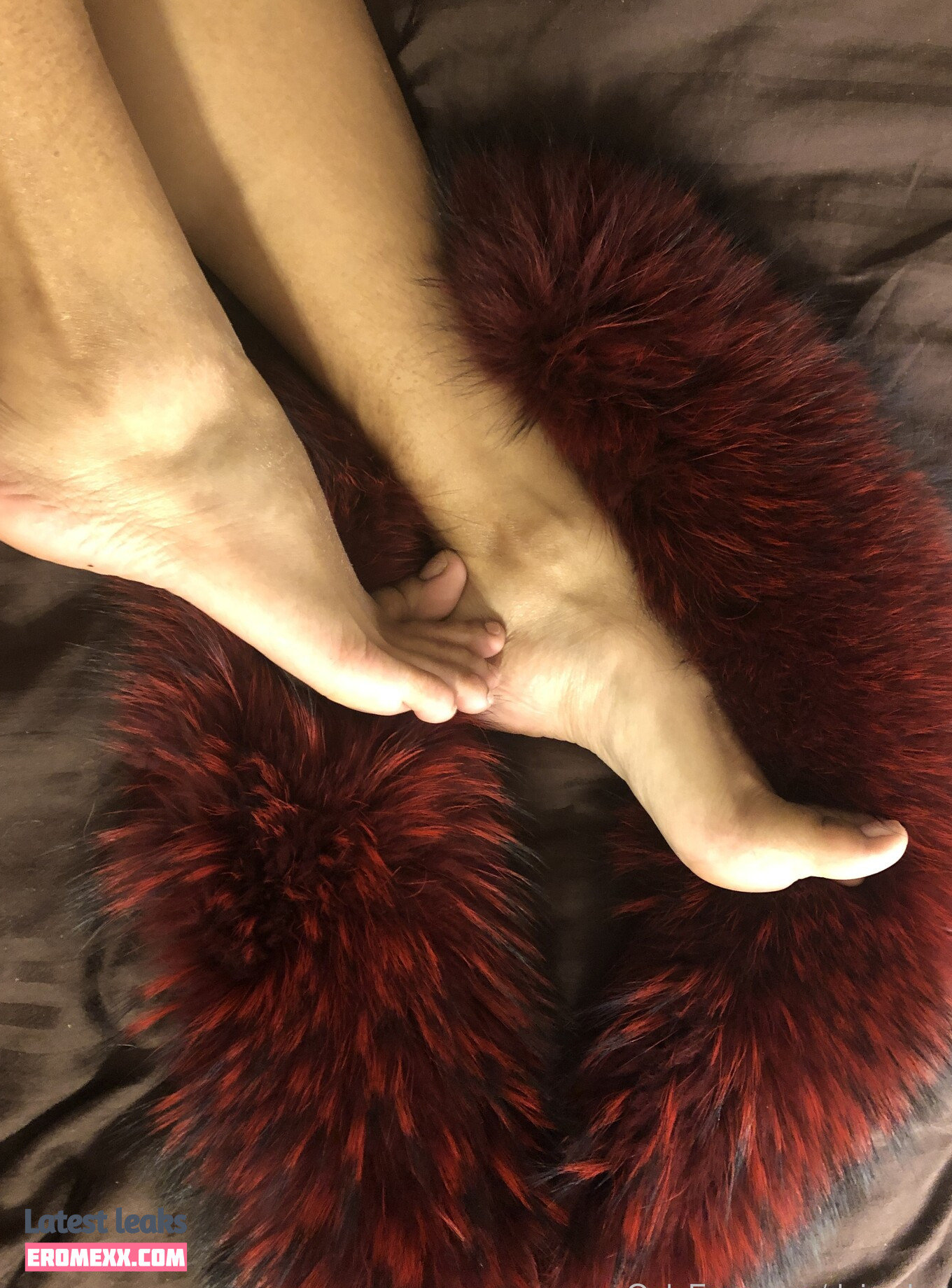 Latest Leaks daisyducati Nude #1 - Fapello