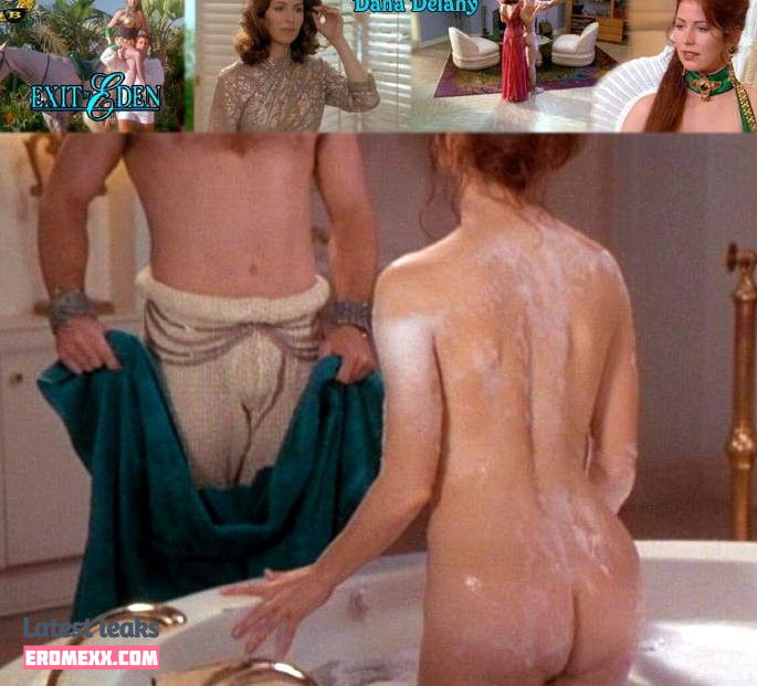 Latest Leaks Dana Delany Nude #20 - Erome