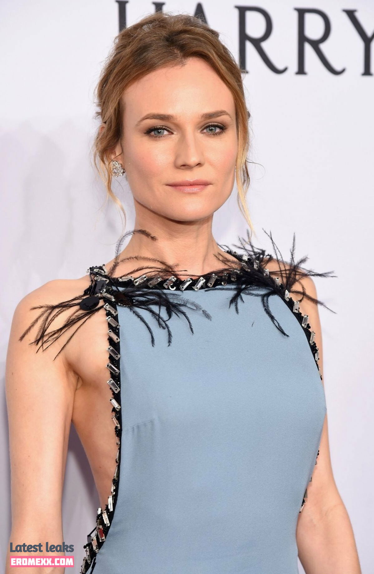 Latest Leaks Diane Kruger Nude #704 - Erome