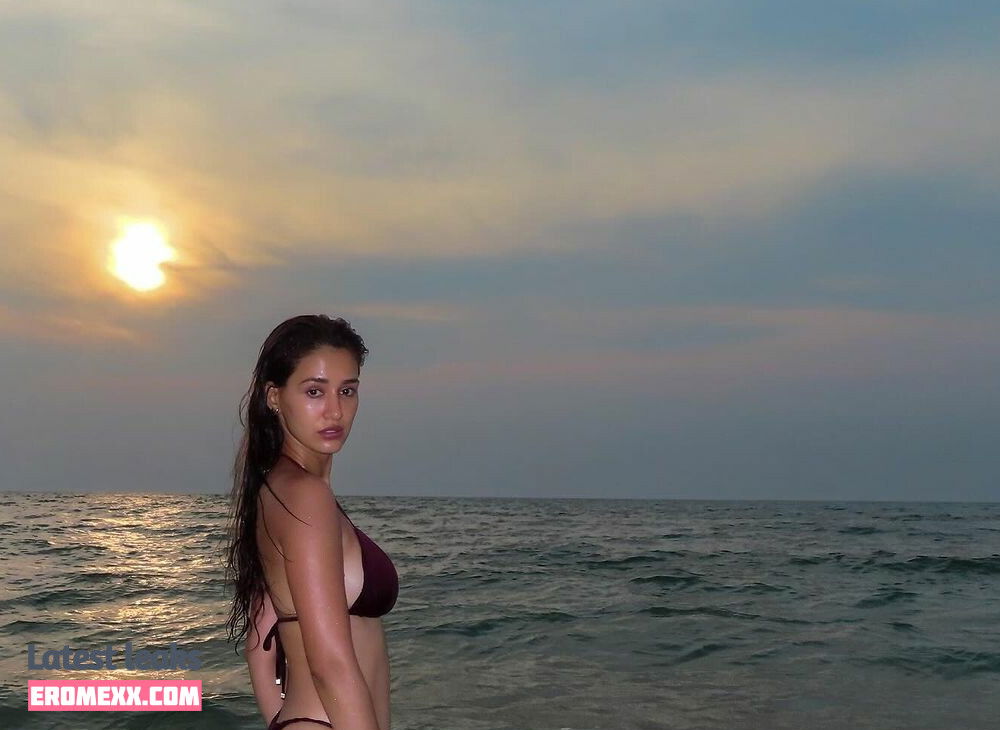 Latest Leaks Disha Patani Nude #226 - Erome