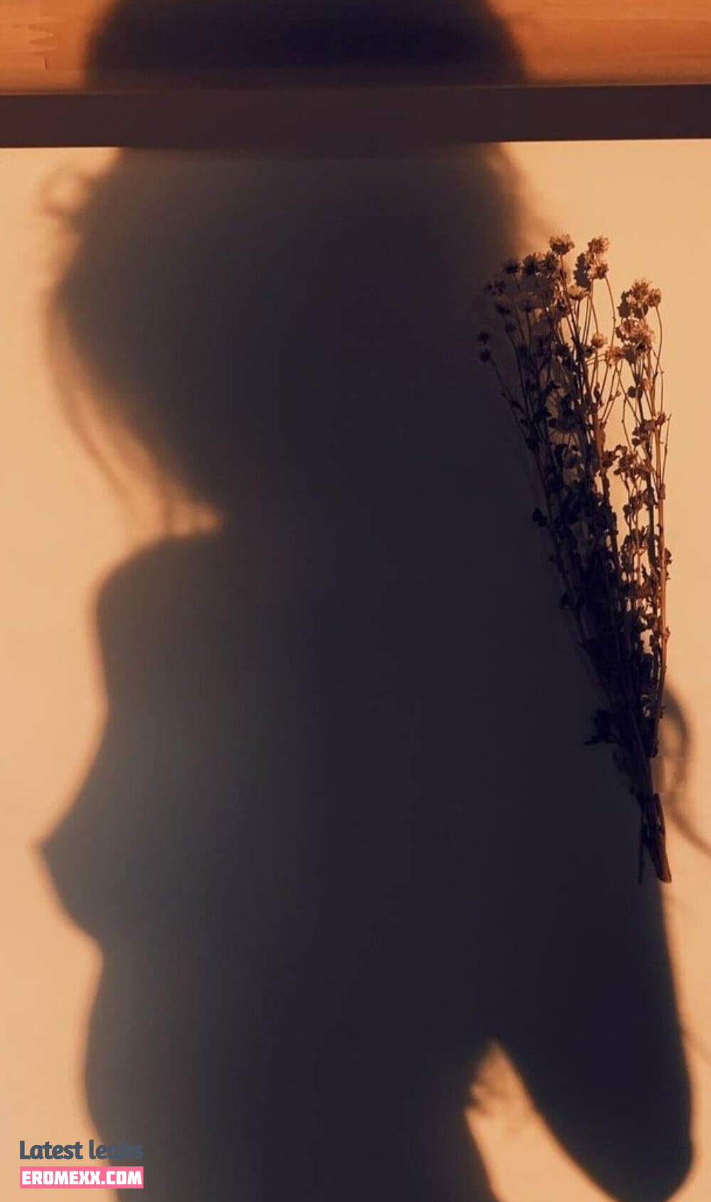 Latest Leaks Doddleoddle Nude #109 - Fapello