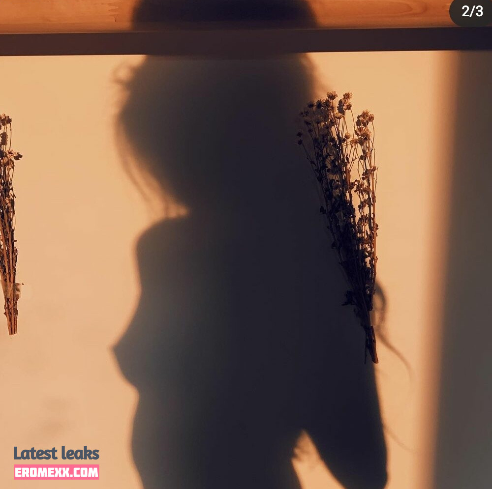 Latest Leaks Doddleoddle Nude #139 - Fapello