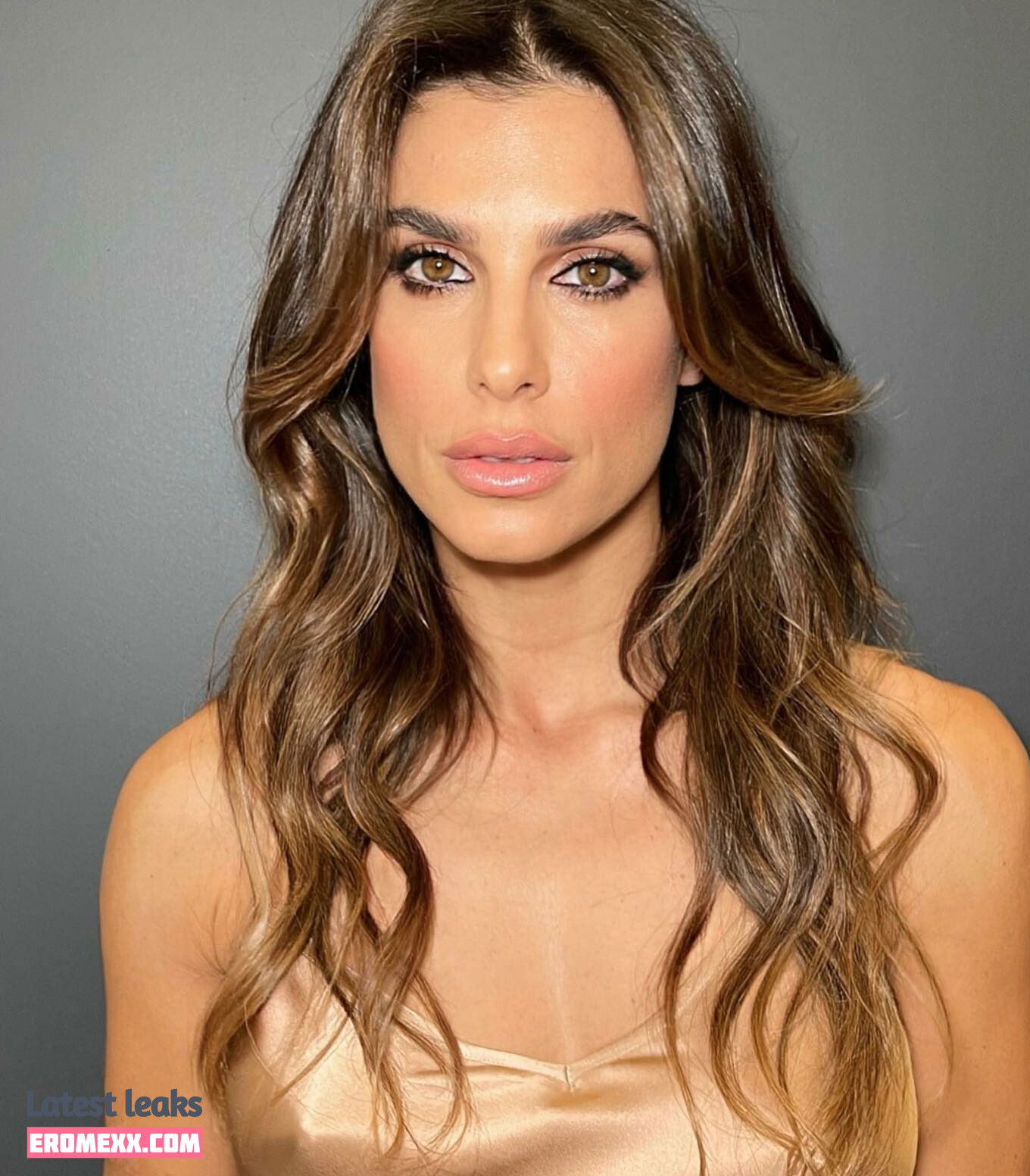 Latest Leaks Elisabetta Canalis Nude #659 - Fapello