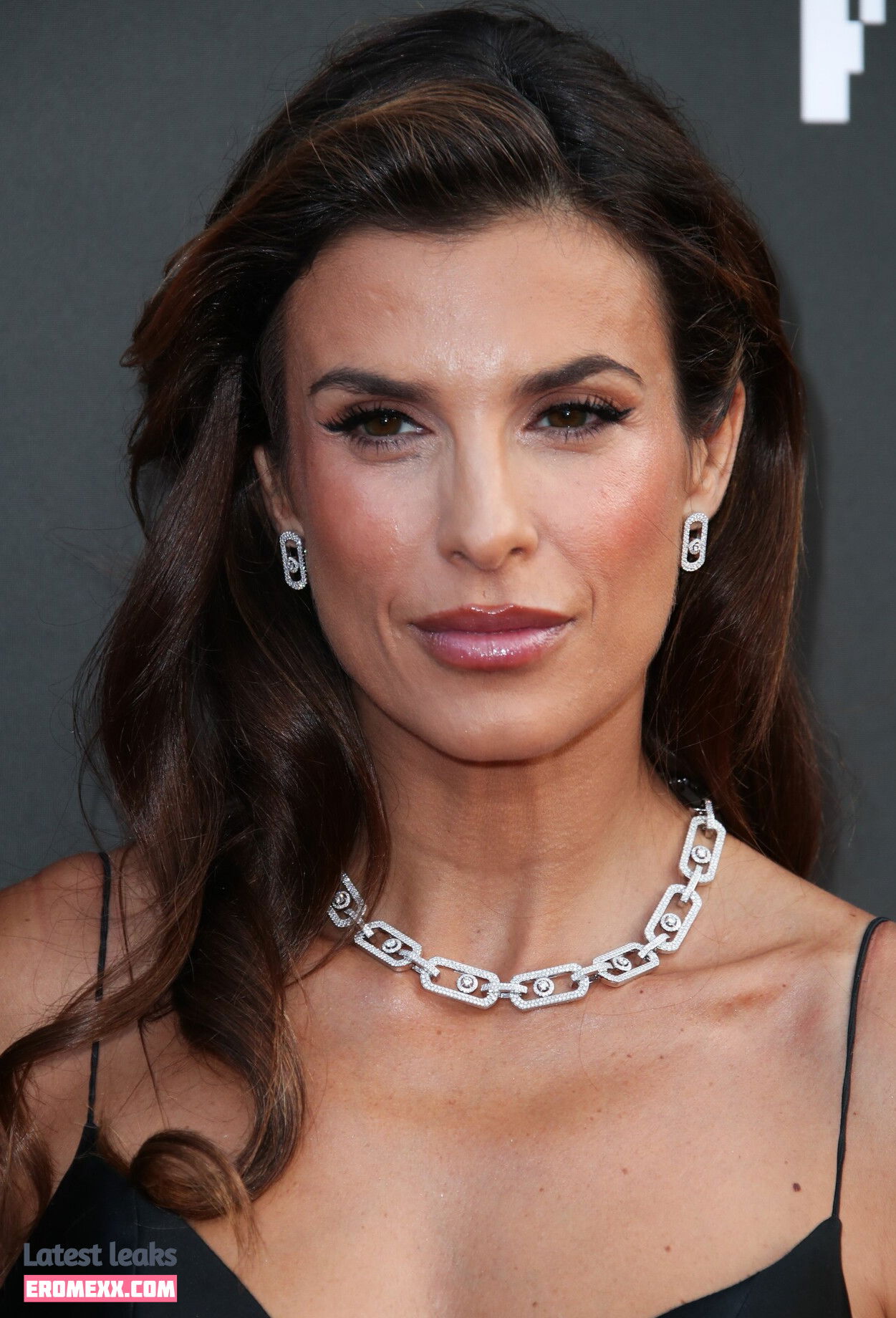 Latest Leaks Elisabetta Canalis Nude #973 - Fapello