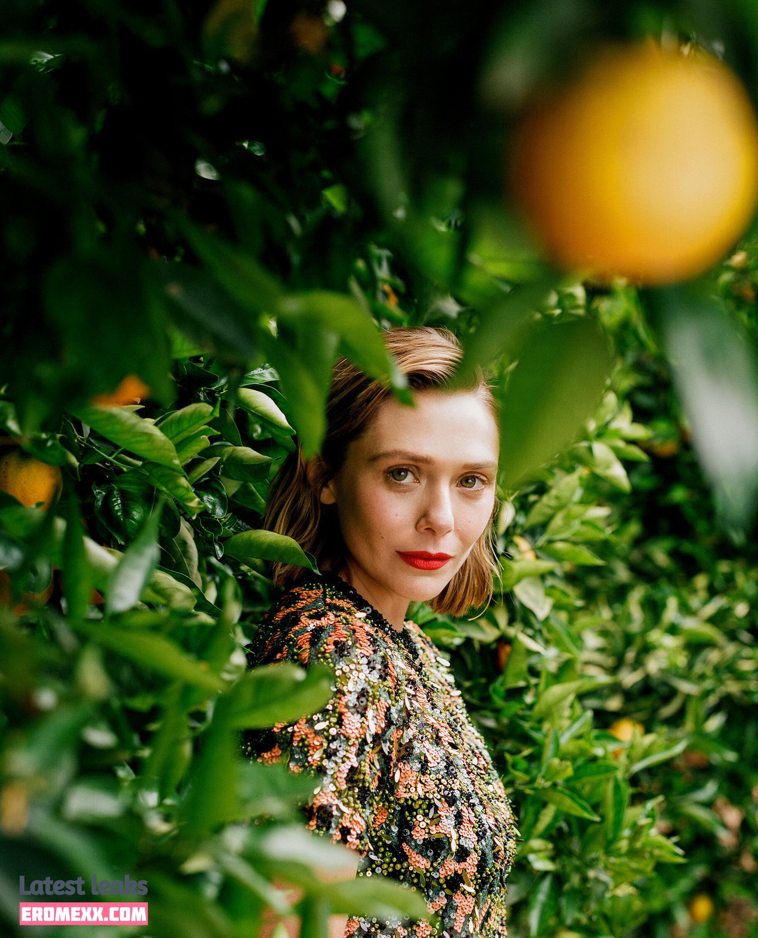 Latest Leaks Elizabeth Olsen Nude #660 - Fapello