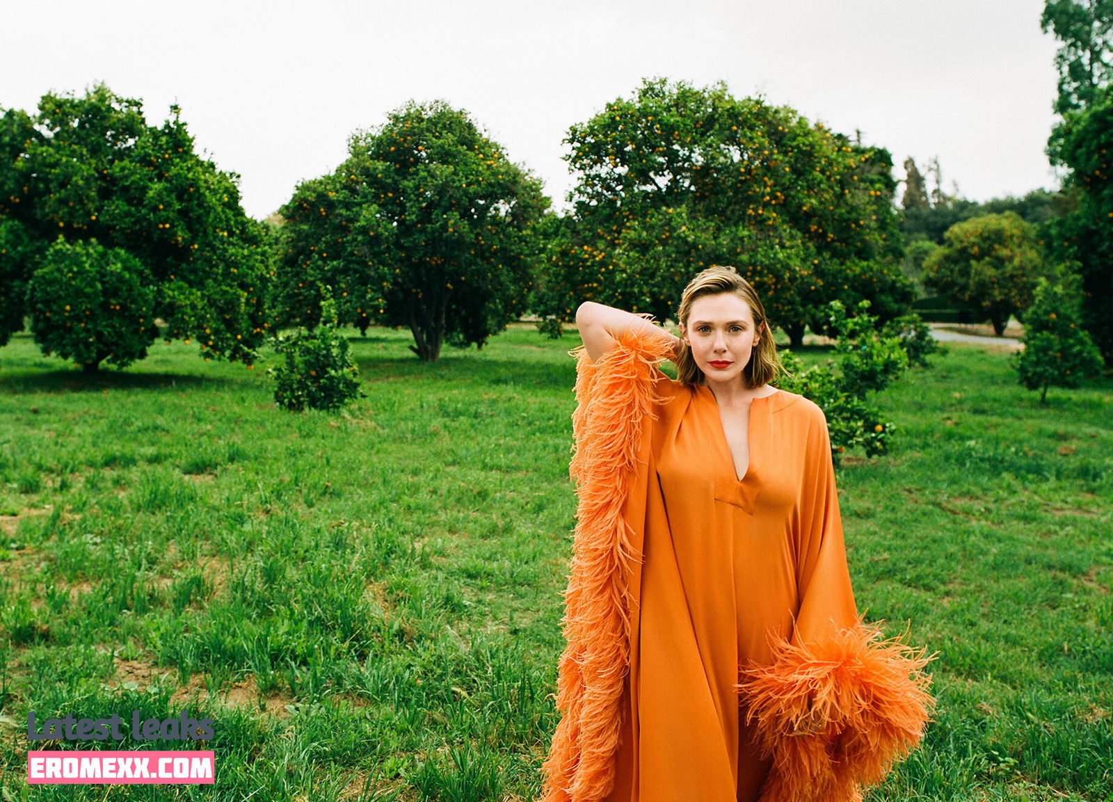 Latest Leaks Elizabeth Olsen Nude #665 - Fapello