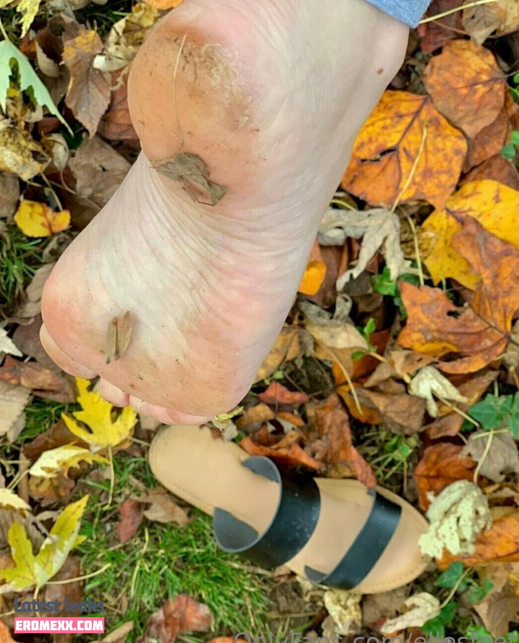 Latest Leaks ellesfeet8 Nude #1 - Erome