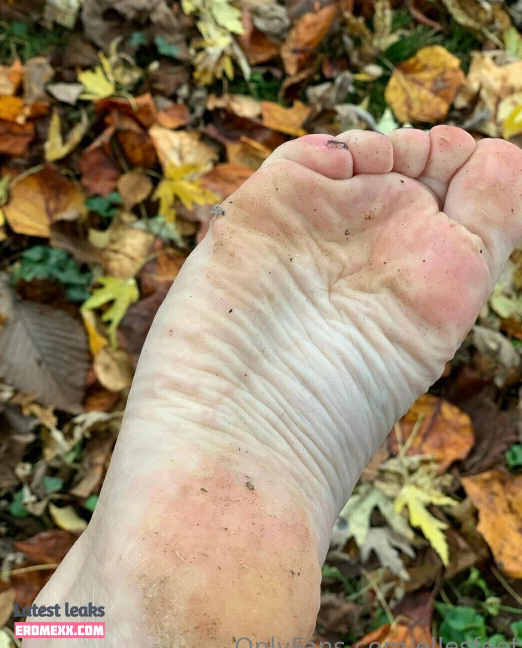 Latest Leaks ellesfeet8 Nude #7 - Erome