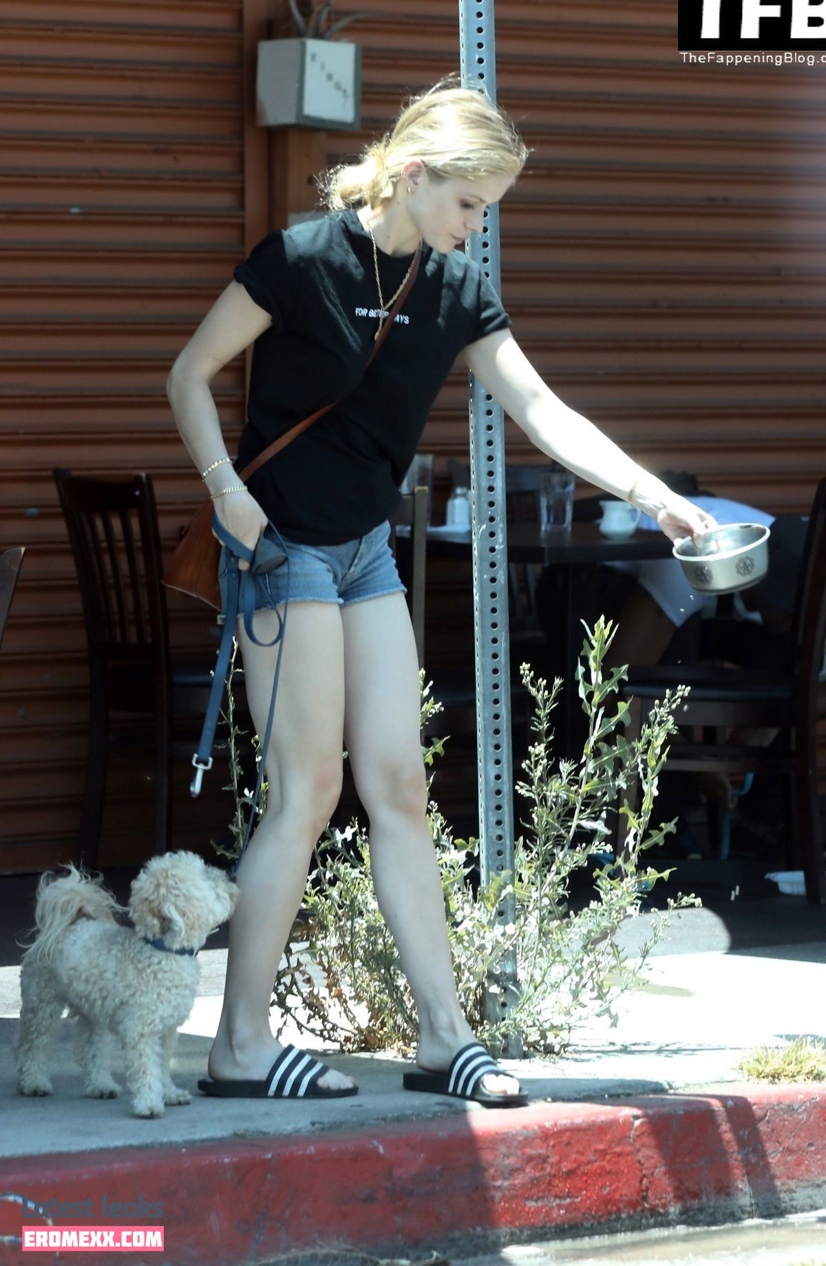 Latest Leaks Erin Moriarty Nude #63 - Fapello