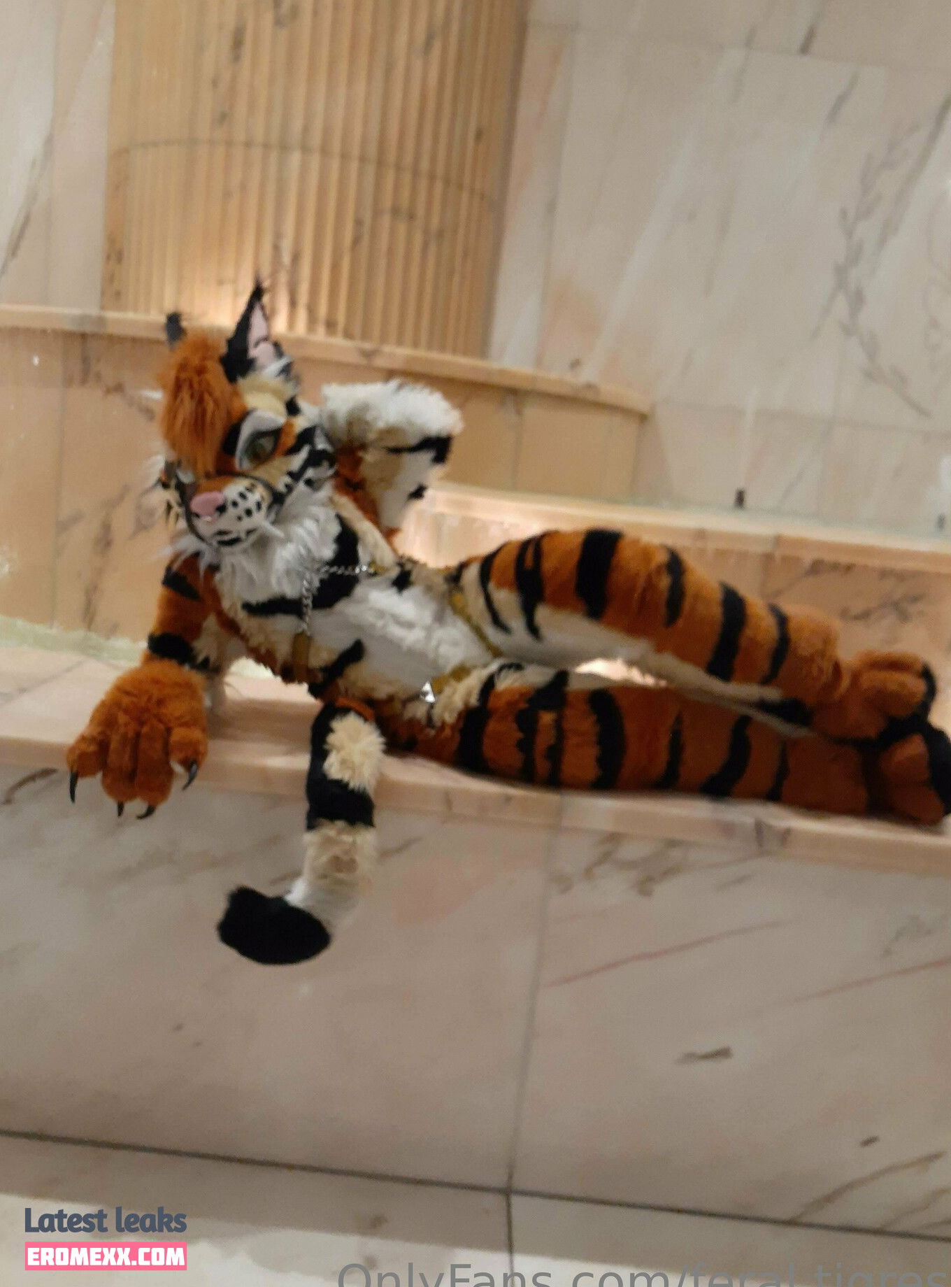 Latest Leaks feral.tigress Nude #10 - Erome