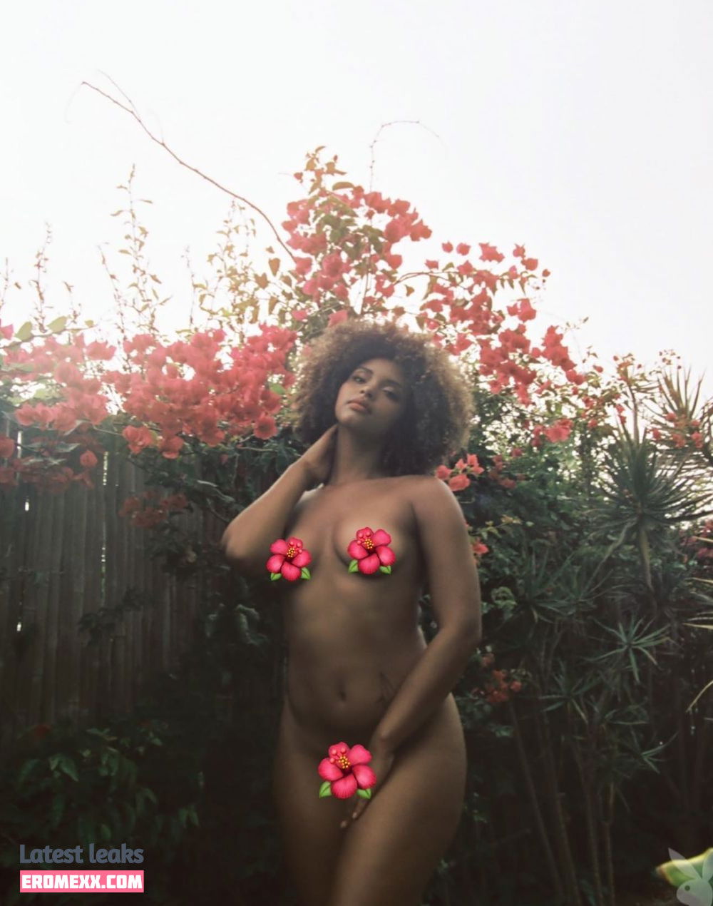 Gillian Chan nudes photos (Exclusive photos) Gillian Chan nude photos (Exclusive photos)