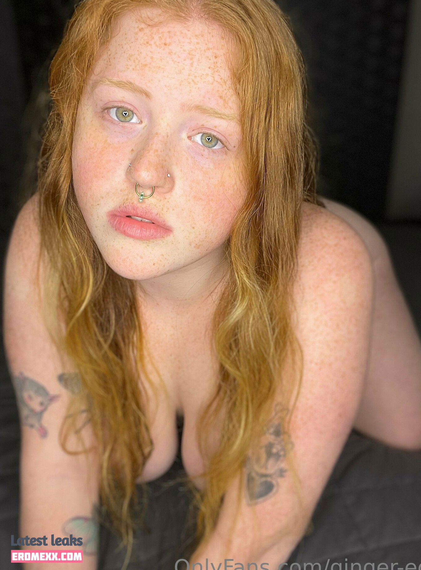 Latest Leaks ginger-ed Nude #82 - Erome