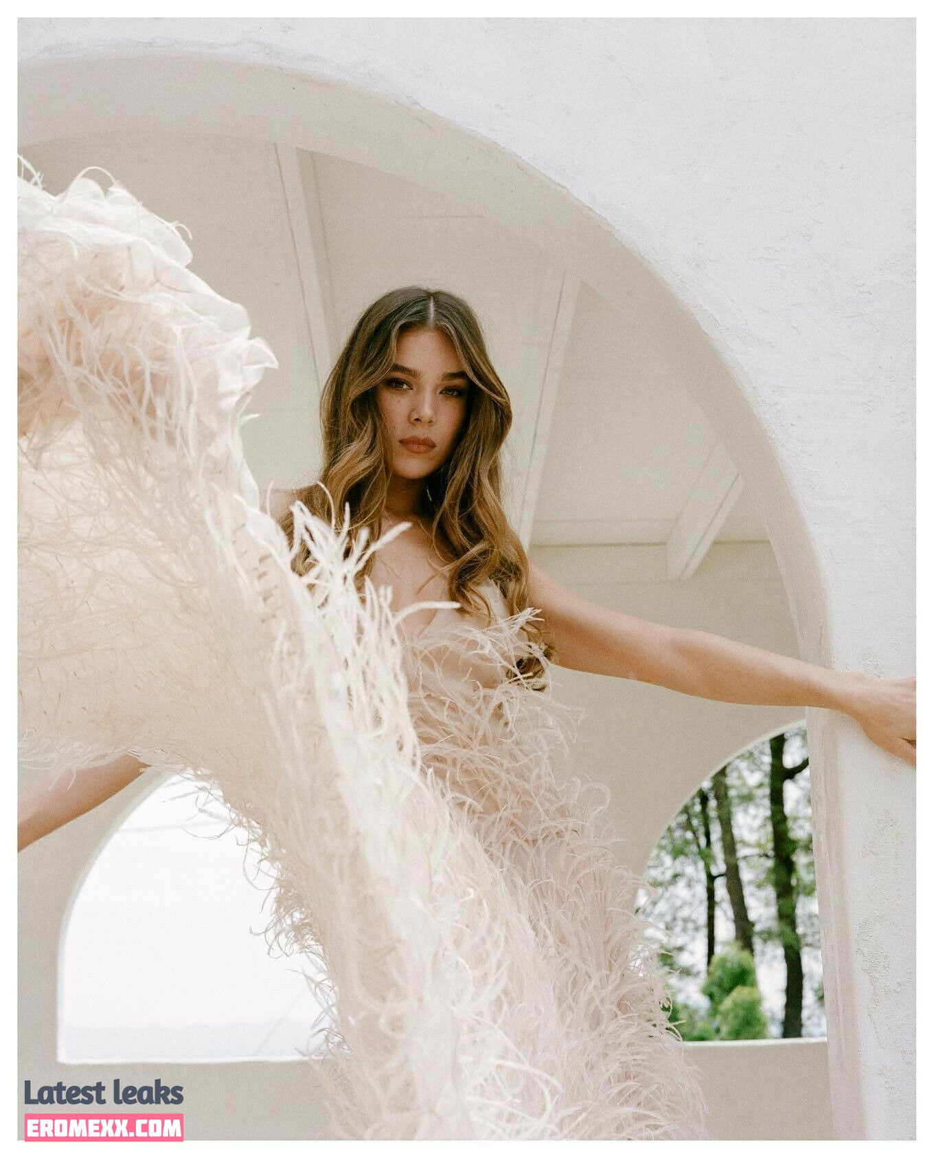 Latest Leaks Hailee Steinfeld Nude #1251 - Fapello