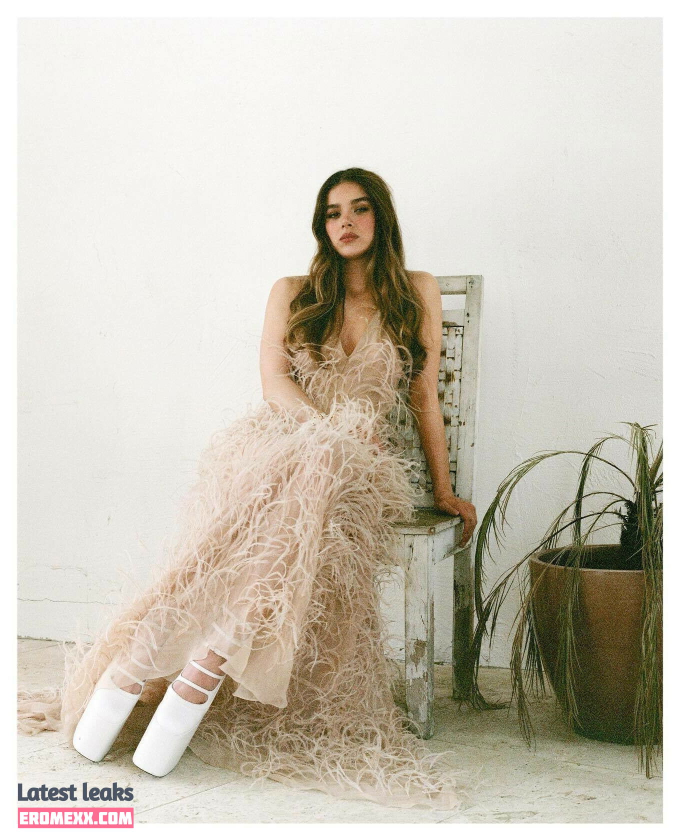 Latest Leaks Hailee Steinfeld Nude #1253 - Fapello