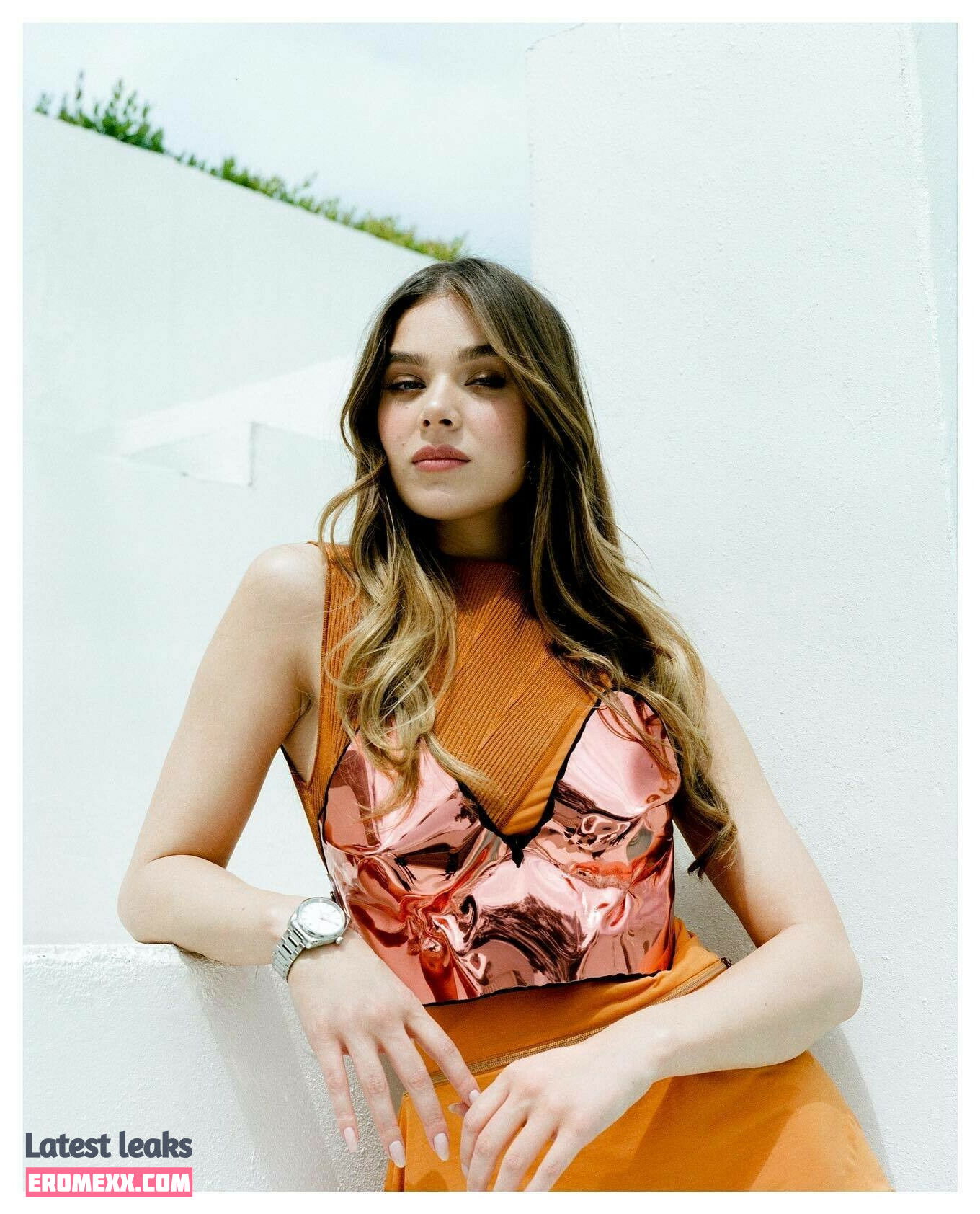 Latest Leaks Hailee Steinfeld Nude #1254 - Fapello