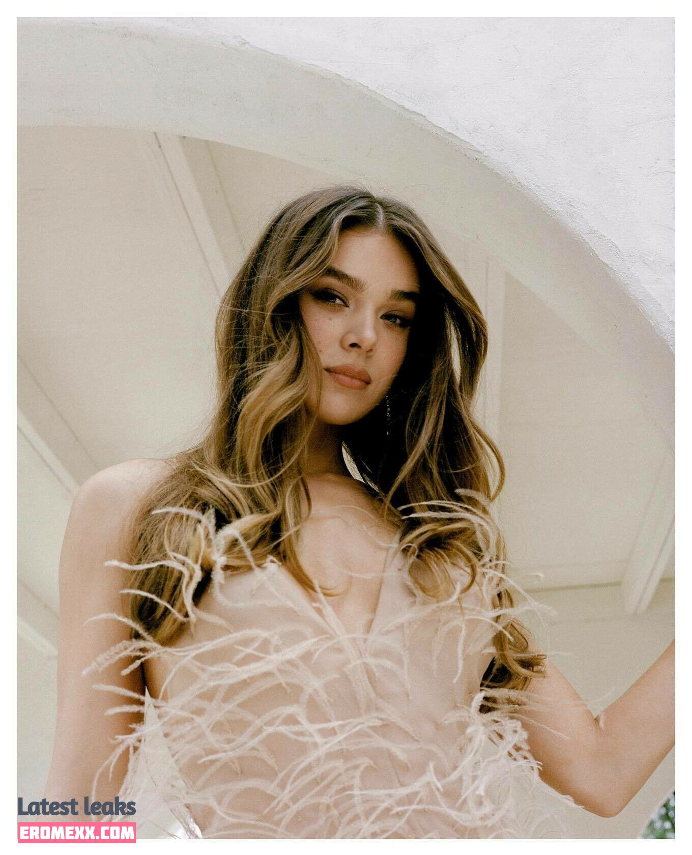Latest Leaks Hailee Steinfeld Nude #1257 - Fapello