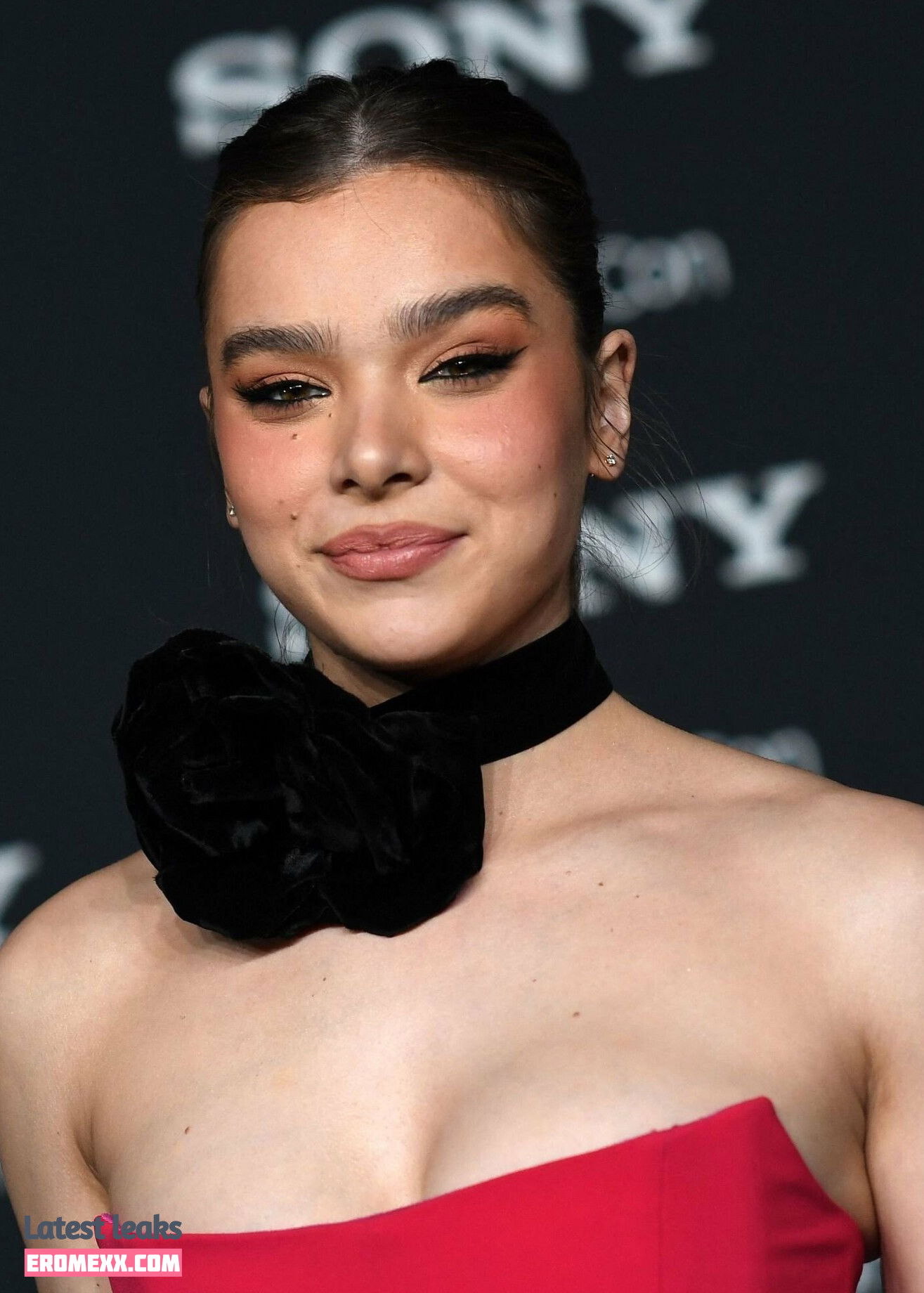 Latest Leaks Hailee Steinfeld Nude #1488 - Fapello