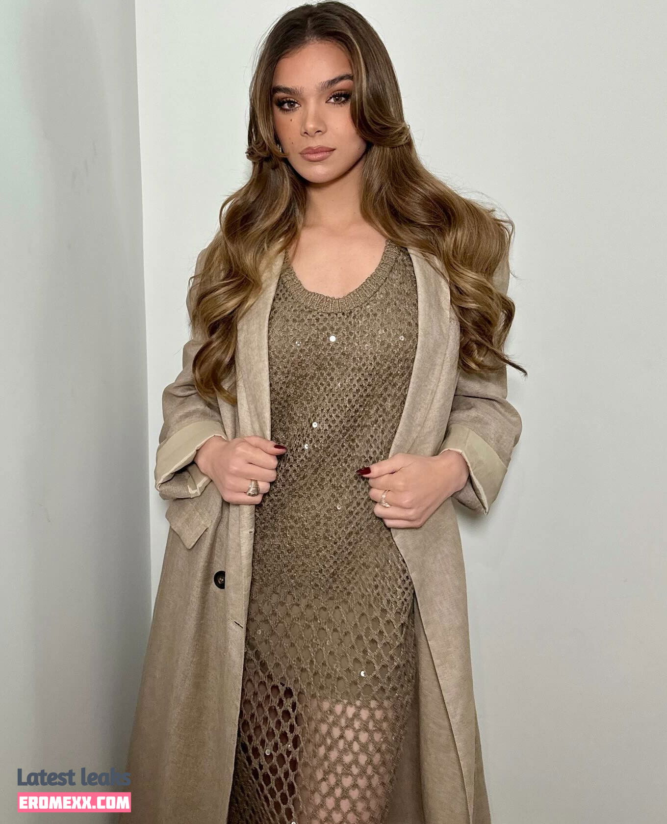 Latest Leaks Hailee Steinfeld Nude #1638 - Fapello