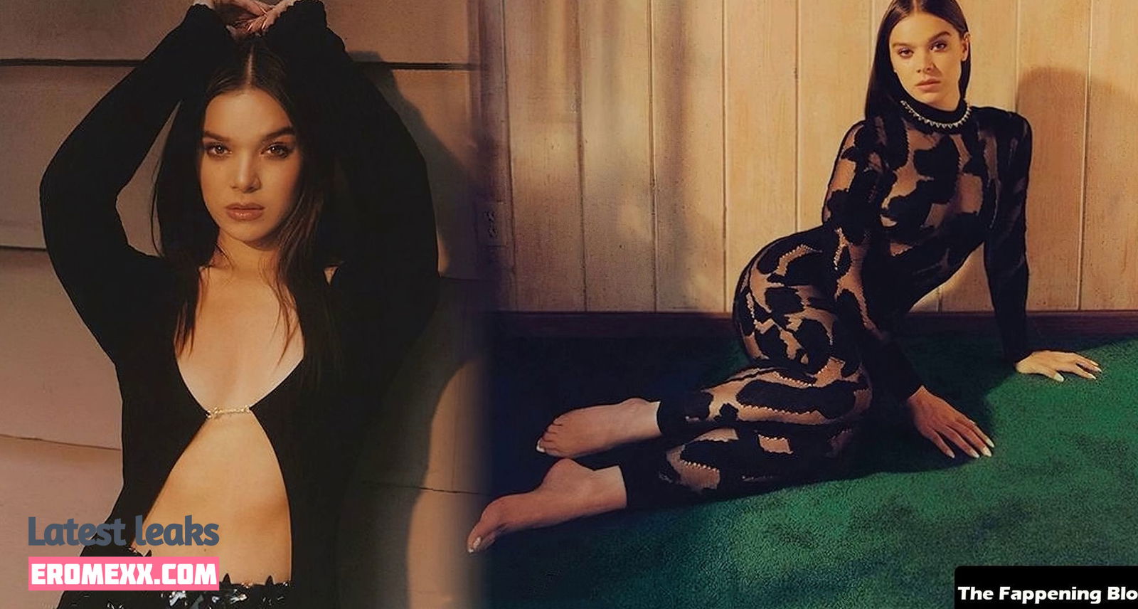 Latest Leaks Hailee Steinfeld Nude #429 - Fapello