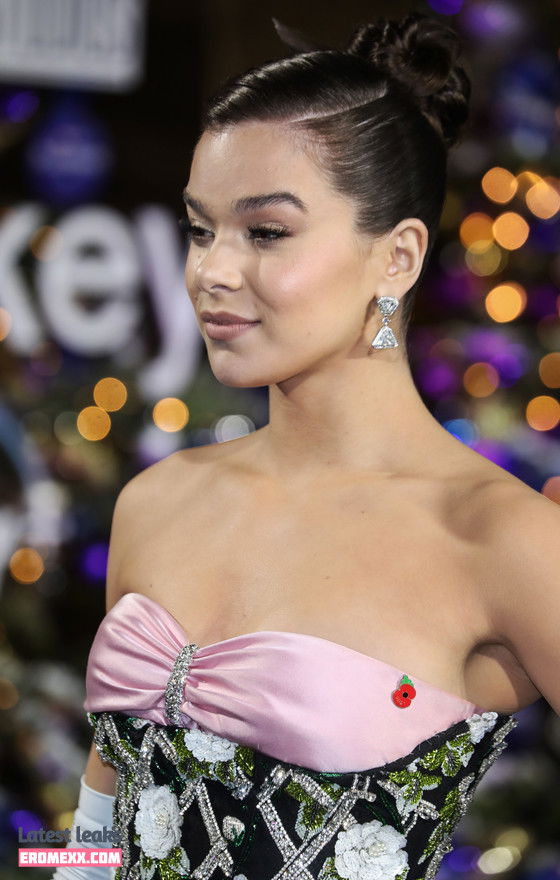 Latest Leaks Hailee Steinfeld Nude #661 - Fapello