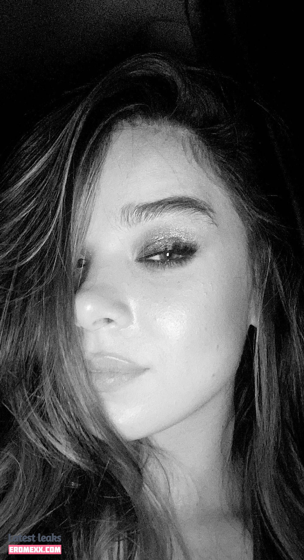 Latest Leaks Hailee Steinfeld Nude #685 - Fapello