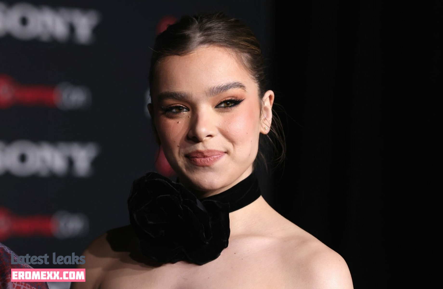 Latest Leaks Hailee Steinfeld Nude #881 - Fapello