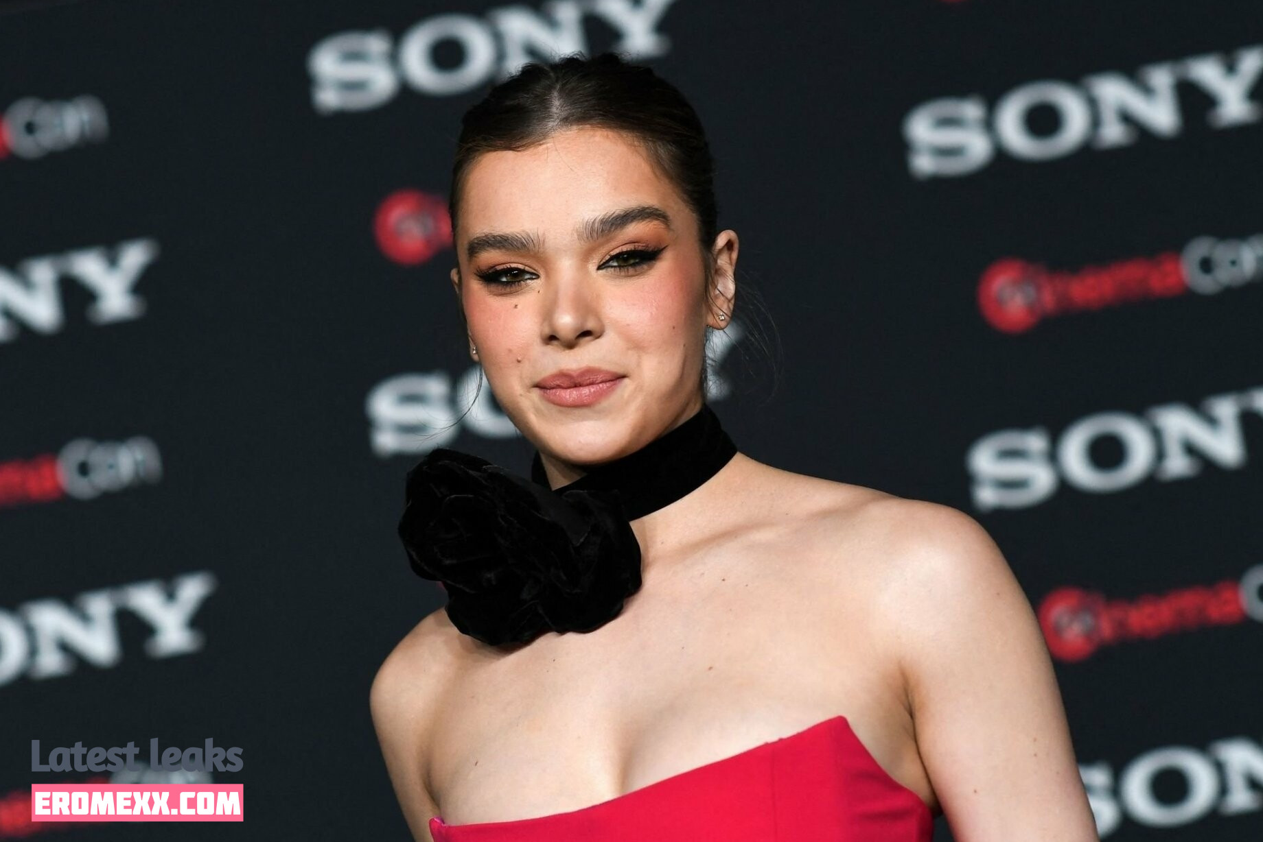 Latest Leaks Hailee Steinfeld Nude #888 - Fapello